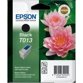 Tinteiro Epson Preto T013