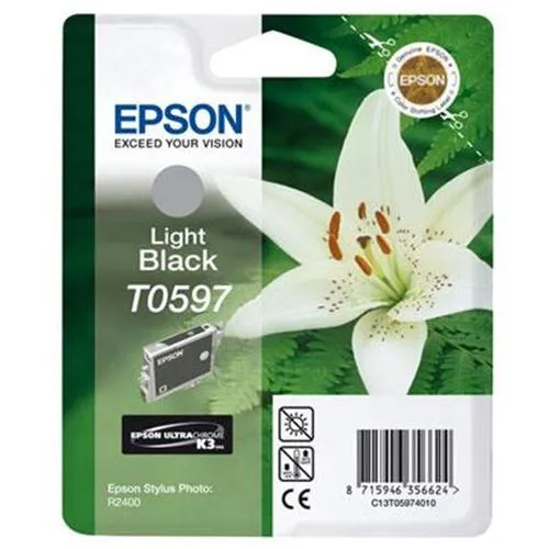 Tinteiro Epson Cinzento T0597