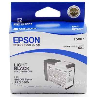 Tinteiro Epson Cinzento T5807