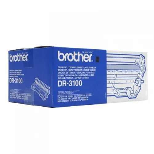 Tambor Brother DR3100