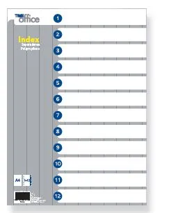 Separadores em Polipropileno A4 6 Folhas Timeoffice