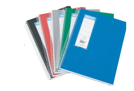 Caderno Capa Dura Pautado Sortido 120fls/70grs Avalon