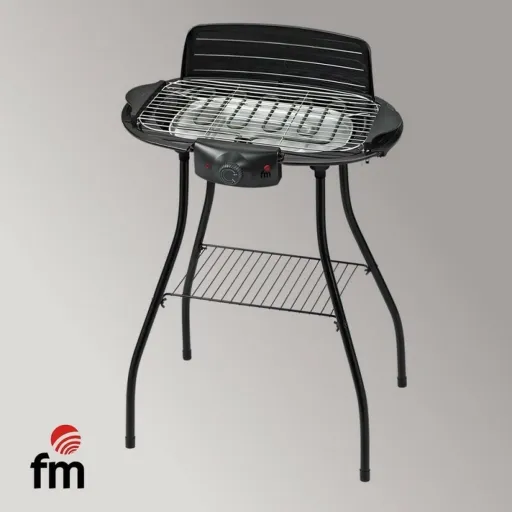 Churrasco Grupo FM BEP2000 47 x 23 cm