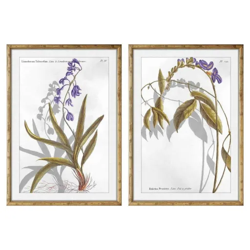 Pintura DKD Home Decor 50 x 2 x 70 cm Moderno Plantas Botânicas (2 Unidades)