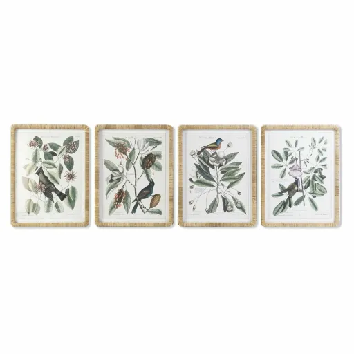 Pintura DKD Home Decor 50 x 2,5 x 65 cm Shabby Chic Plantas Botânicas (4 Peças)