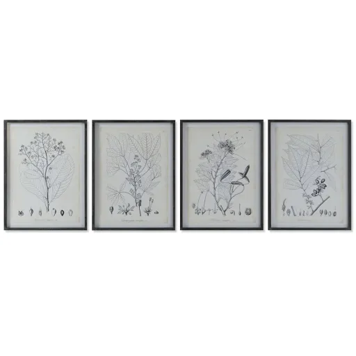 Pintura DKD Home Decor Moderno Plantas Botânicas 45 x 2,5 x 60 cm (4 Unidades)