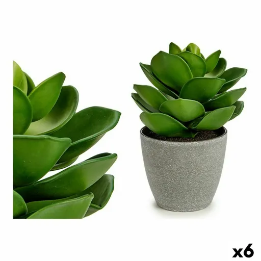 Planta Decorativa Cinzento Verde (16 x 21 x 16 cm) (6 Unidades)