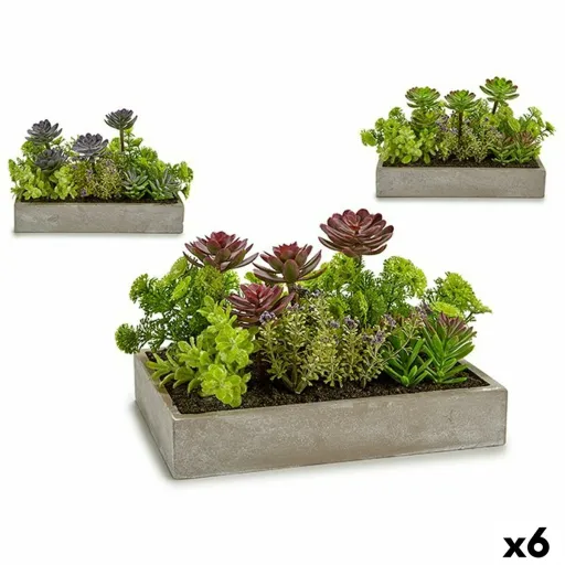 Planta Decorativa Suculenta Plástico Cimento 16,5 x 20 x 28,5 cm (6 Unidades)