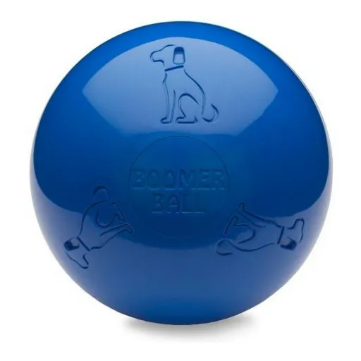 Brinquedo para Cães Company of Animals Boomer Azul (200mm)