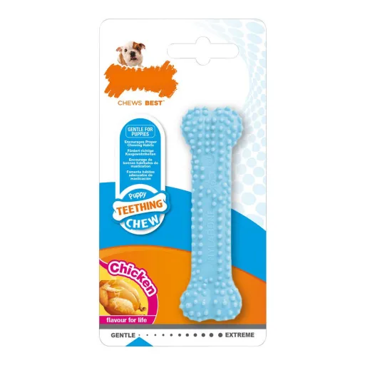 Mordedor para Cão Nylabone Azul Frango Blue Termoplástico Tamanho XS Cachorros