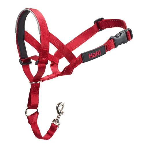 Coleira de Treino para Cães Company of Animals Halti Açaime (35-48 cm)