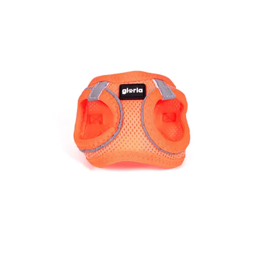 Arnês para Cães Gloria Trek Star 27-28 cm 31-34,6 cm Laranja XS