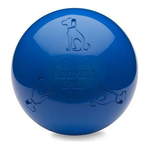 Brinquedo para Cães Company of Animals Boomer Azul (150mm)