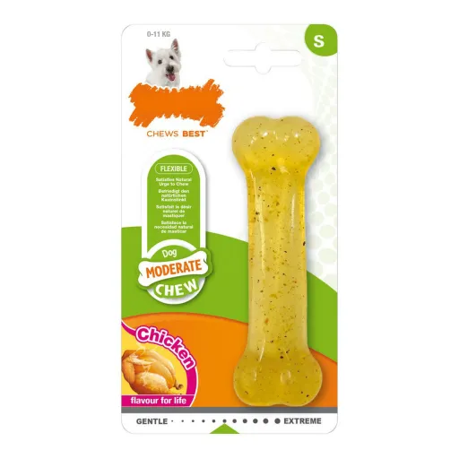 Mordedor para Cão Nylabone Moderate Chew Tamanho S Frango Termoplástico