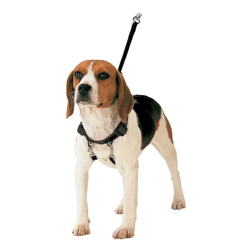 Arnês para Cães Gloria 30-42 cm Tamanho M