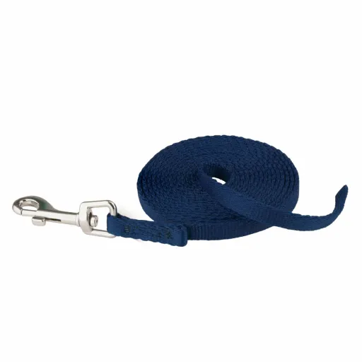 Trela para Cães Coachi Azul 2,5 m Treino