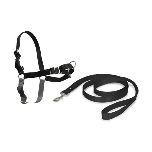 Arnês para Animais Domésticos PetSafe Easy Walk Preto Medianav (M)