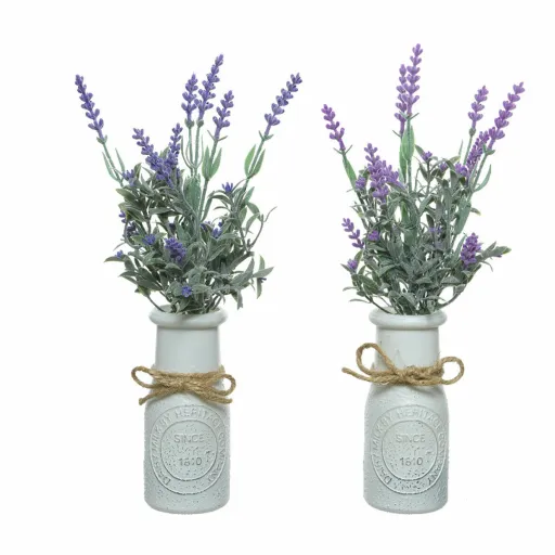 Planta Decorativa Everlands Vaso Lavanda (Ø 13 x 32 cm)