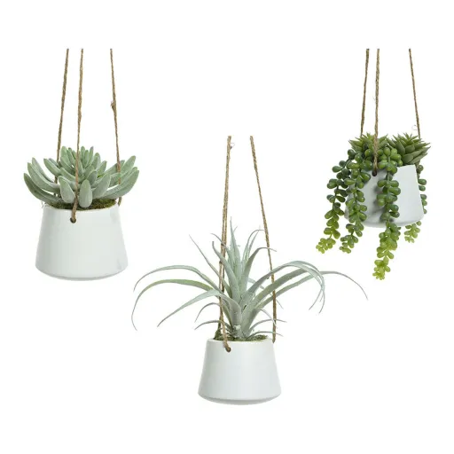 Planta Decorativa 800073 Suculenta 20 cm Para Pendurar Artificial