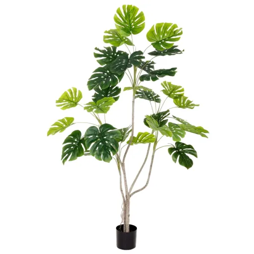 Planta Decorativa Poliuretano Cimento Monstera 180 cm