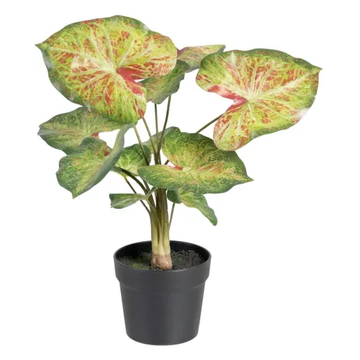 Planta Decorativa 48 x 46 x 55 cm Vermelho Verde PVC