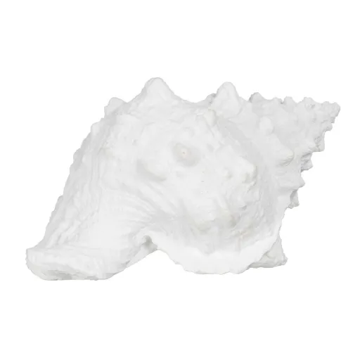 Figura Decorativa Branco Concha 21 x 14 x 12 cm