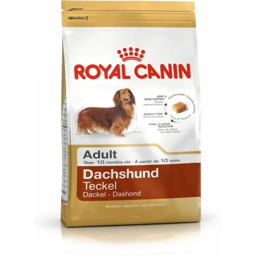 Penso Royal Canin Dachshund Adult Adulto Frango Arroz Pássaros 1,5 Kg