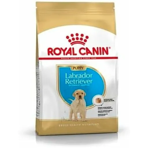 Penso Royal Canin Cachorro/Júnior Frango 3 Kg