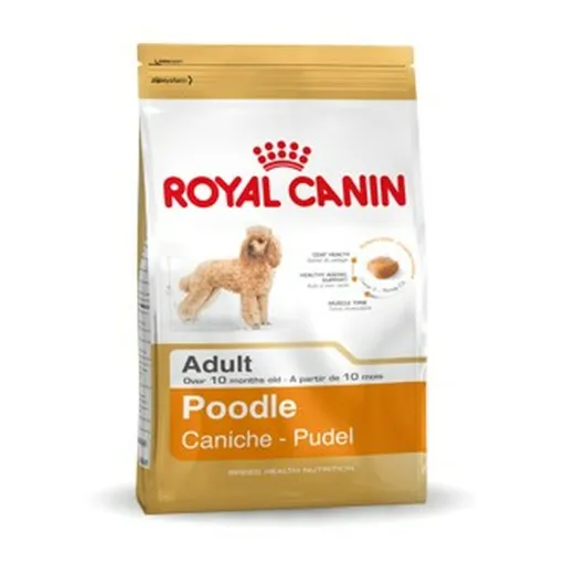 Penso Royal Canin Poodle Adult Adulto Frango 1,5 Kg