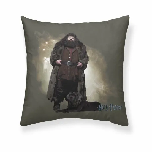 Capa de Travesseiro Harry Potter Hagrid Multicolor 50 x 50 cm