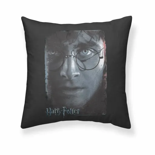 Capa de Travesseiro Harry Potter Multicolor 50 x 50 cm