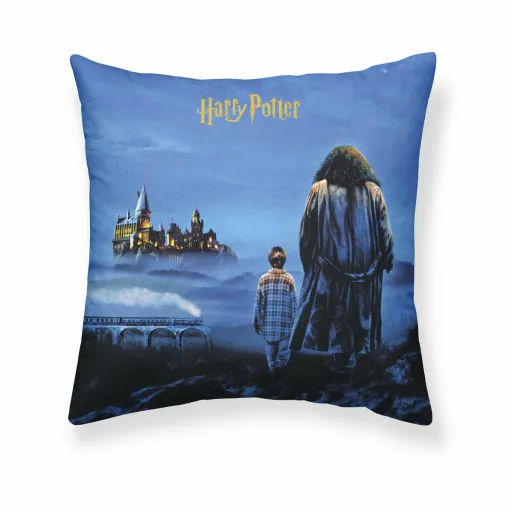 Capa de Travesseiro Harry Potter Philosopher's Stone Multicolor 50 x 50 cm