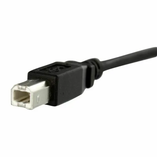 Cabo USB Startech USBPNLBFBM1          USB B Preto