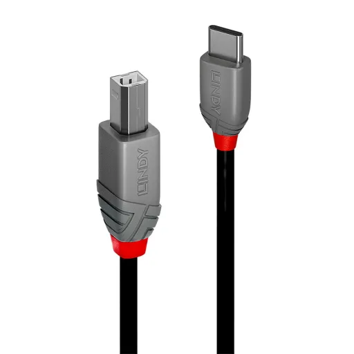 Cabo USB C para USB B LINDY 36942 Preto 2 m