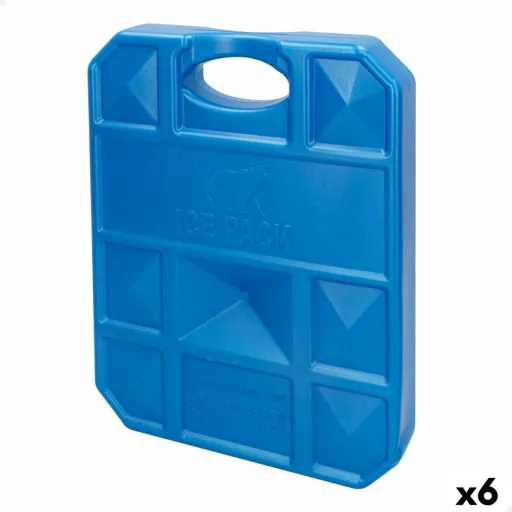 Acumulador de Frio Aktive Azul 2 Kg 22 x 27,5 x 4 cm (6 Unidades)