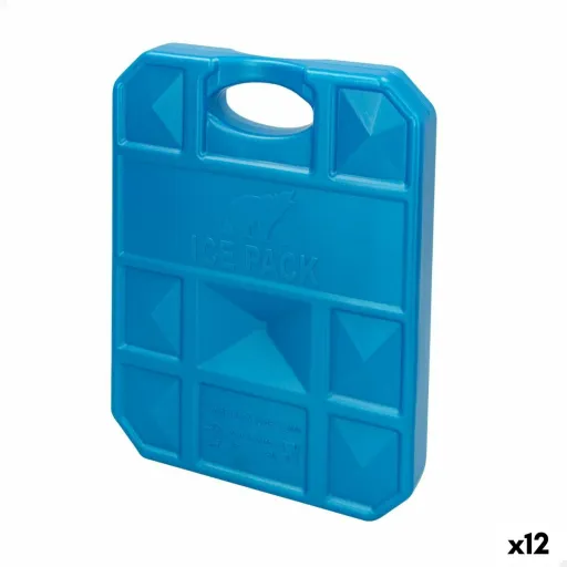 Acumulador de Frio Aktive Azul 1 kg 18,5 x 24 x 3,3 cm (12 Unidades)