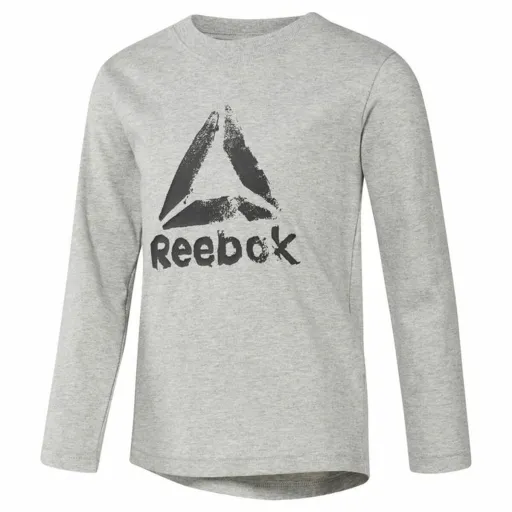 Camisola de Manga Comprida Criança Reebok Boys Training Essentials Cinzento Claro