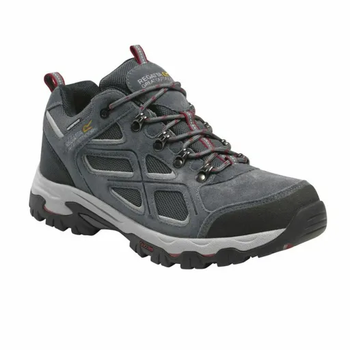 Botas de Montanha Regatta Tebay  Cinzento Homem