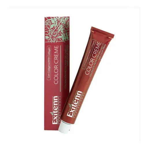 Tinta Permanente Color Creme Exitenn Nº 562 Plum (60 ml)