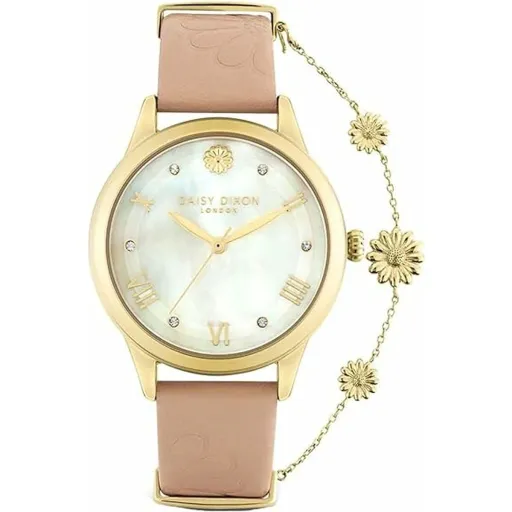 Relógio Feminino Daisy Dixon DD104PG (Ø 36 mm)