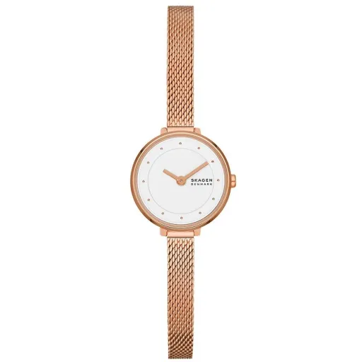 Relógio Feminino Skagen GITTE LILLE (Ø 22 mm)