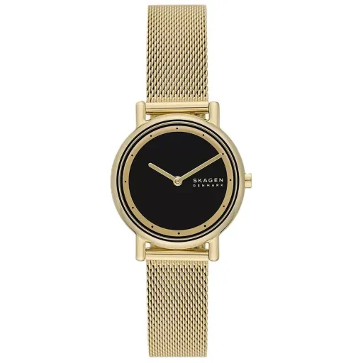 Relógio Feminino Skagen SIGNATUR LILLE (Ø 30 mm)