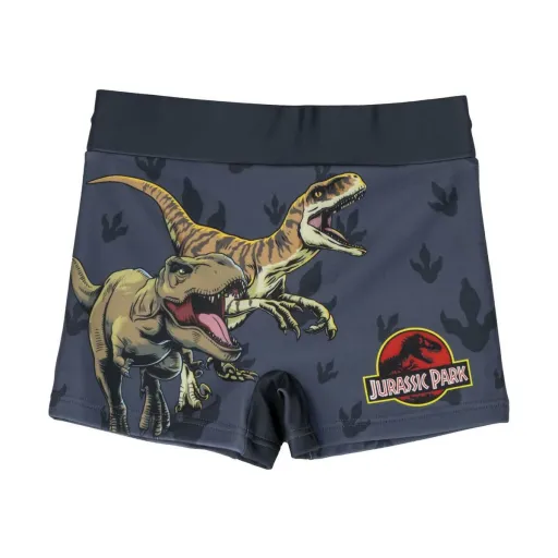 Calções de Banho Boxer para Meninos Jurassic Park Cinzento Escuro