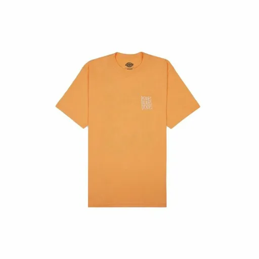 Camisola de Manga Curta Dickies Creswell Laranja Homem