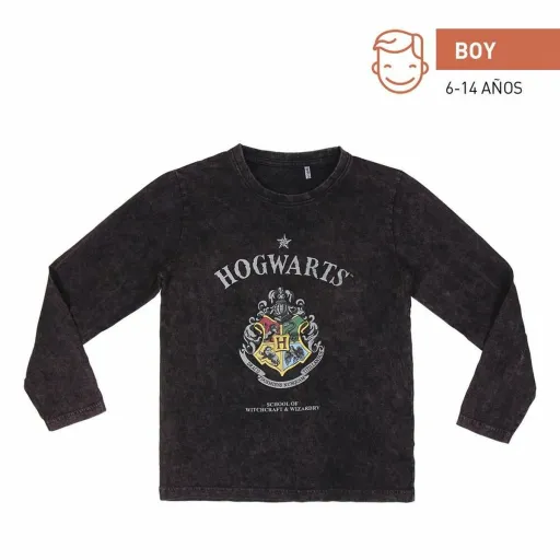 Camisola de Manga Comprida Criança Harry Potter Cinzento Cinzento Escuro