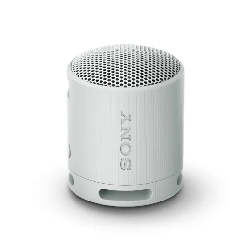 Altifalante Bluetooth Portátil Sony SRSXB100H Cinzento