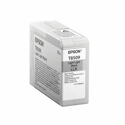 Tinteiro de Tinta Original Epson C13T850900 Preto