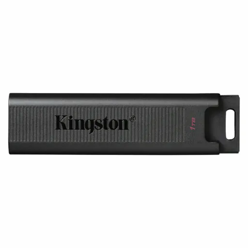 Memória USB   Kingston DTMAX/1TB         Preto