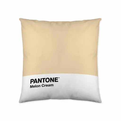 Capa de Travesseiro Melon Cream Pantone 63836415 50 x 50 cm