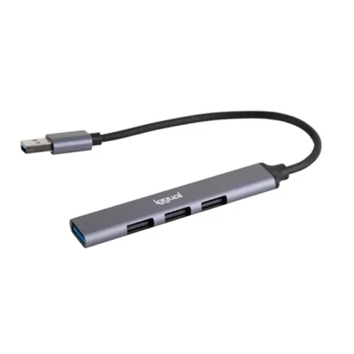 Hub USB Iggual IGG318454